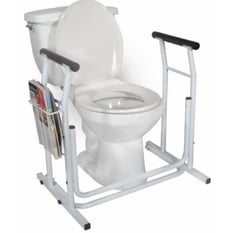 Toilet riser