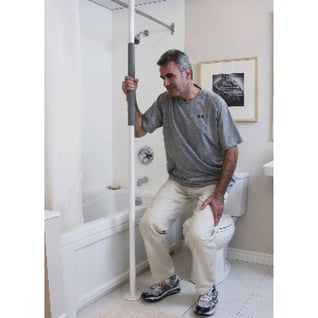 floor to ceiling grab bar for the toilet and bathroom