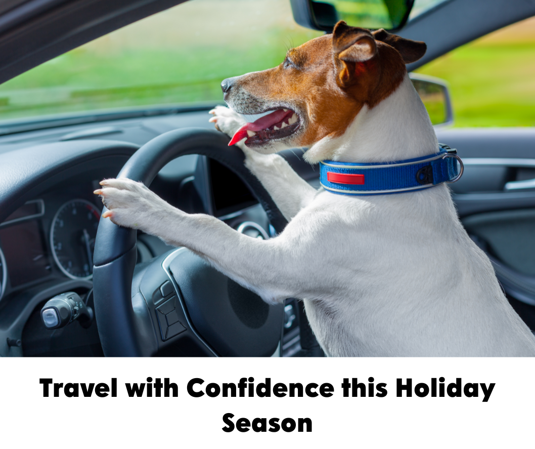 Traveling with Confidence: Managing Incontinence During the Holidays